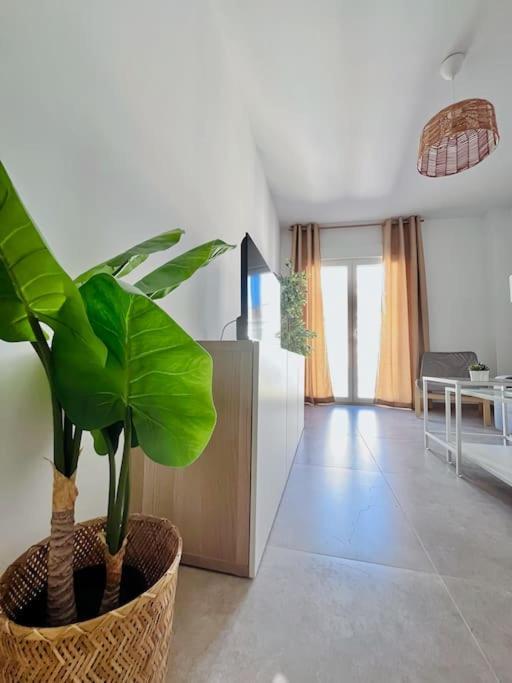 Lovely Apartment Close By City Center Màlaga Exteriér fotografie